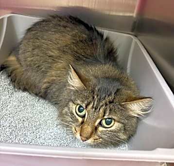 Photo of Fuzzy