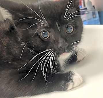 Photo of Murphy