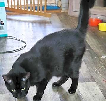 Photo of Sammy