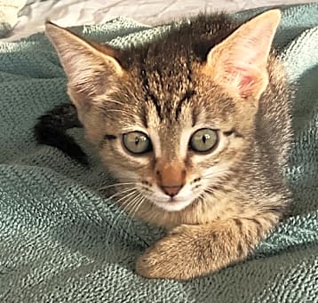 Photo of Frida 3