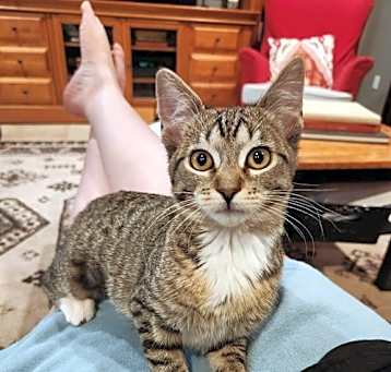 Photo of Dora