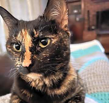 Photo of Ritz