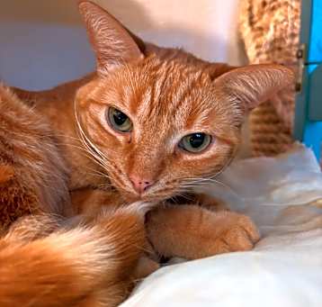Photo of Eris
