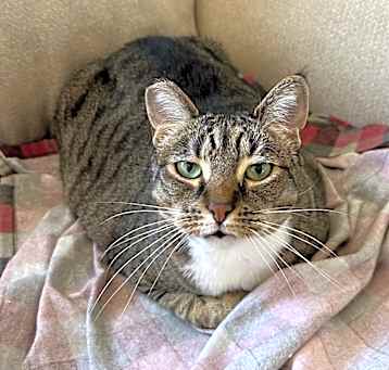 Photo of Pepper