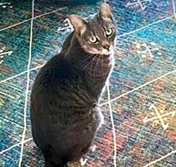 Photo of Ashley
