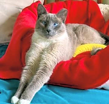 Photo of Slippers