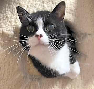 Photo of Lil Kit
