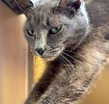 Photo of Gamble