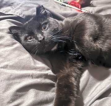 Photo of Stan