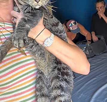 Photo of Pippa (*Video] talker!
