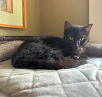 Photo of Birdie