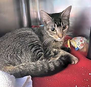 Photo of Talia