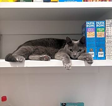 Photo of Lulu