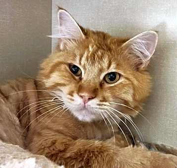 Photo of Cisco