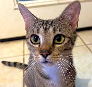 Photo of Poppi