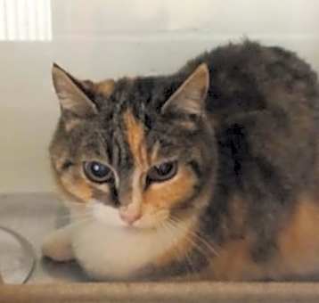 Photo of Alice