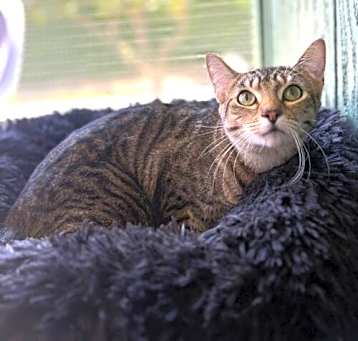 Photo of Tabitha