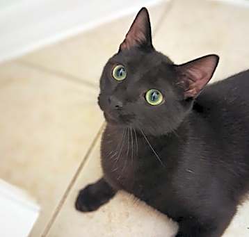 Photo of Simon