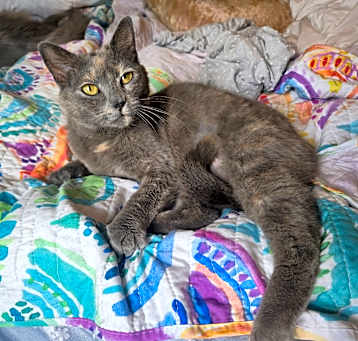 Photo of Lily
