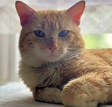Photo of Zeek