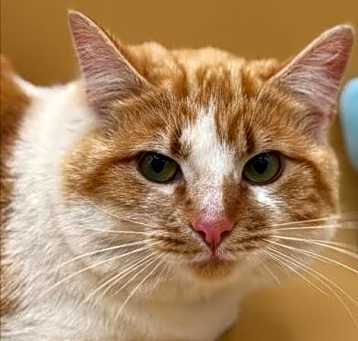 Photo of Cesar