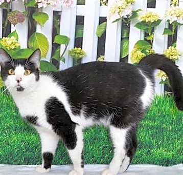 Photo of MARBLES
