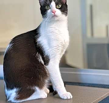 Photo of Murphy