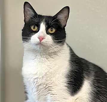 Photo of Shirley
