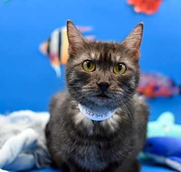 Photo of Tynan