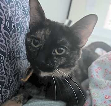 Photo of Marcie