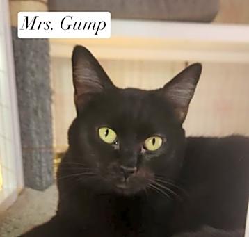 Photo of Mrs. Gump