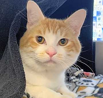 Photo of Chirp