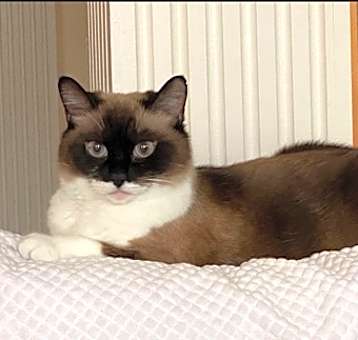 Photo of Annie