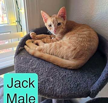 Photo of Jack