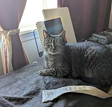 Photo of Spice