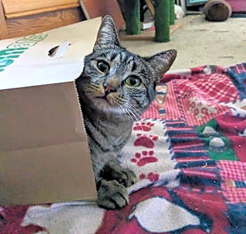 Photo of Spice