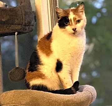 Photo of Lily