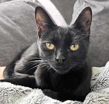 Photo of Mirabel