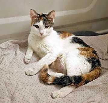 Photo of Lady Jane