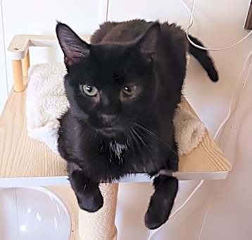 Photo of Grimm