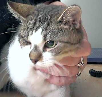 Photo of Tad