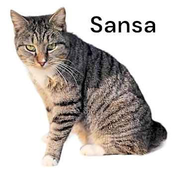 Photo of Sansa