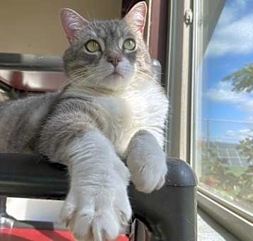 Photo of Luna