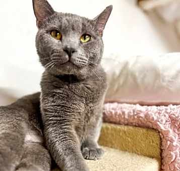 Photo of Cinder Block