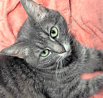 Photo of Georgia