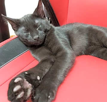 Photo of Vlad