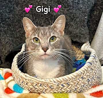 Photo of Gigi