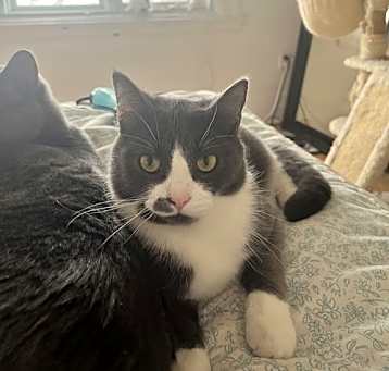 Photo of Snooze