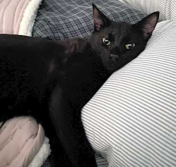 Photo of Kylo