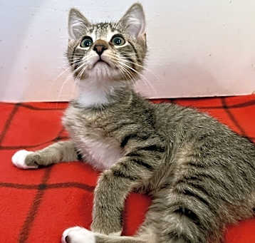 Photo of Hans Catsolo